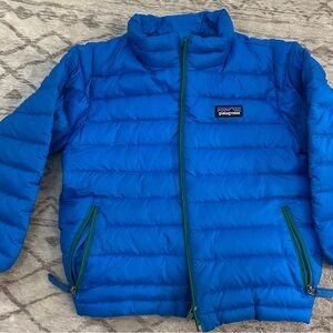 Patagonia Vibrant Blue Quilted Jacket